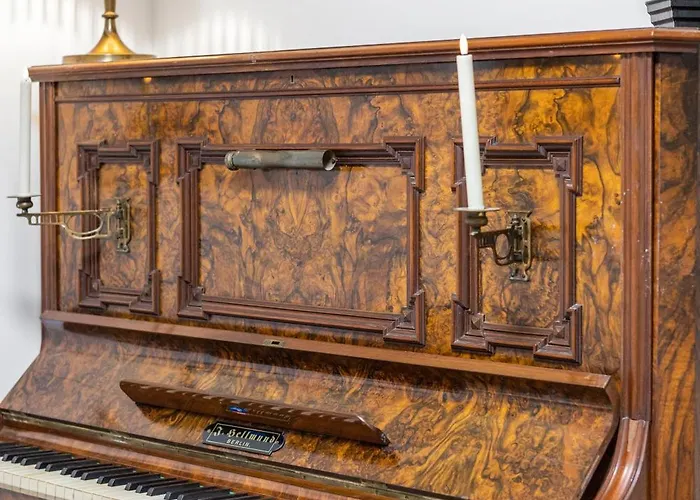 Big Center No Party *