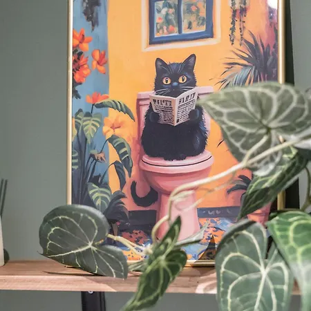 דירה Big Center No Party