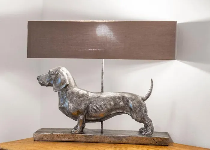 Big Center No Party *