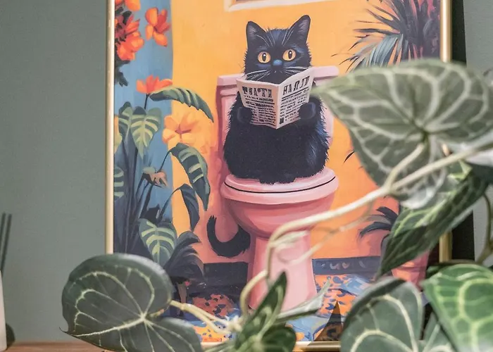 Daire Big Center No Party