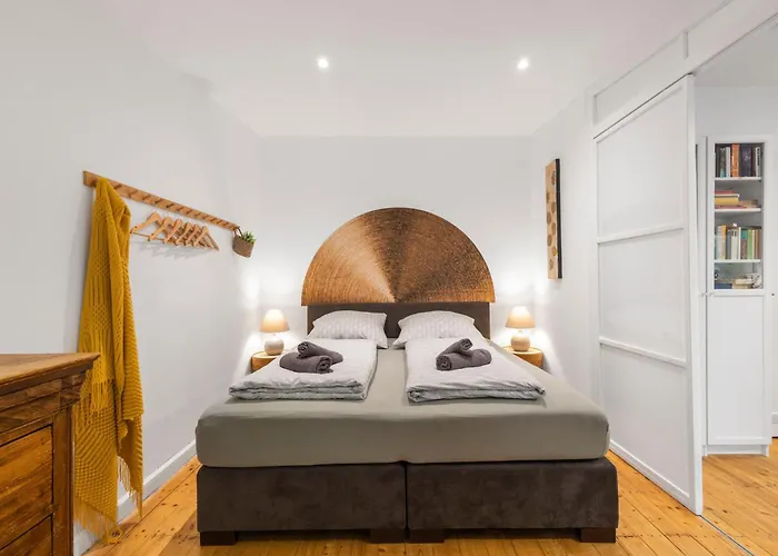 Big Center No Party * Colonia